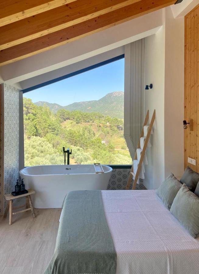 Casa Rural Piedra De La Torre Riópar Dış mekan fotoğraf